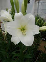 [4112 Global Justice Mak No02.JPG]